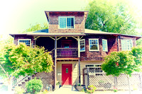 Real Estate Property Portraits
